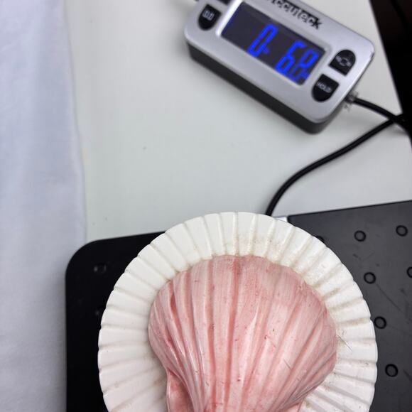 Fits & Floyd Hand Painted Coquille Trinket Dish W/Lid Pink White Scalloped Shell - Picture 7 of 7